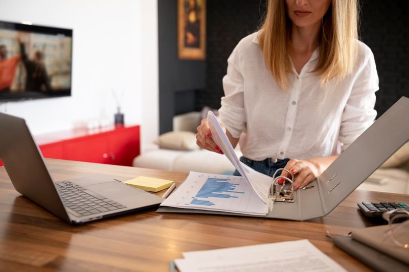 Software accounting professional